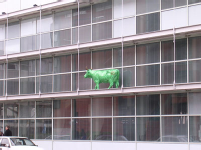 Victoria Baths Cow!